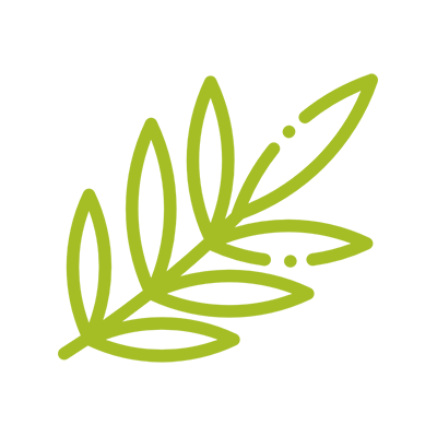 Plantas Medicinales y Fitoterapia