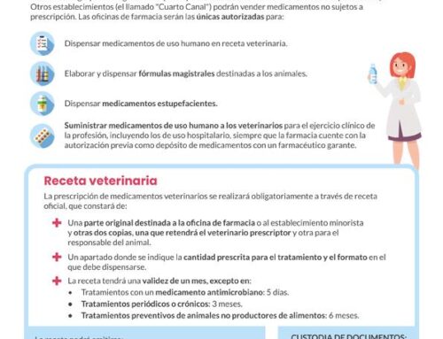 Distribución, prescripción, dispensación y uso de medicamentos veterinarios en farmacias (infografía 1)